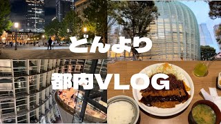 VLOG111月の土曜日に都内散歩巡り（国立新美術館、東京駅） [upl. by Ydnar]