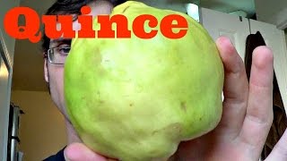 Quince Review Quince cheese recipe Weird Fruit Explorer Ep 122 [upl. by Alguire89]