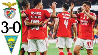 Benfica vs Estoril Praia 30 All Goals and Extended Highlights 2024 [upl. by Patrich946]