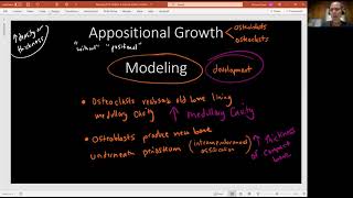 Biology 2010 Ch 6 Bone Tissue and Skeletal System Appositional Growth Video 10 [upl. by Haliled628]