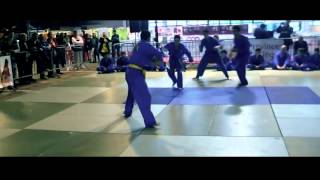 Vovinam Viet Vo Dao  Chorégraphie Démonstration [upl. by Jun]