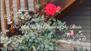 “Do You Still Bloom in the Rain”  Gospel Music Video  Dan amp Amanda  Original Song [upl. by Tsugua]