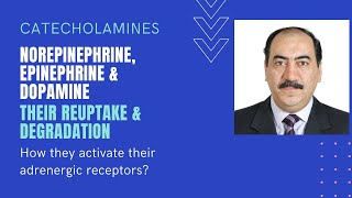 Sympathomimetics II Catecholamine reuptake degradation amp interaction with adrenergic receptors [upl. by Mosby]