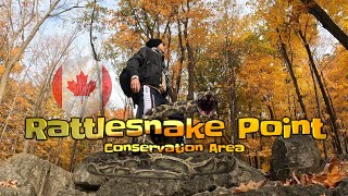 Witness the Spectacular Fall Foliage at Rattle Snake Conservation Area  Milton Ontario🍁 [upl. by Selie]