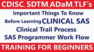 CDISC SDTM ADaM TLFS Training For Beginners [upl. by Guglielma]