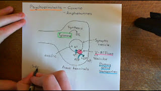 The Neurobiology of Drug Addiction Part 4 [upl. by Neerol]