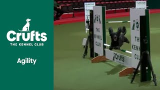 Agility Championship SmallMedium Part 1  ​Crufts 2022 [upl. by Jesh874]