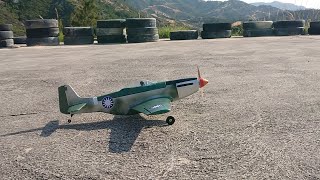 tower hobbies P51D Mustang Warbird RC PROPDRIVE v2 3536 1800KV Brushless Outrunner MotorOvertheat [upl. by Dulcie270]