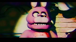 Mr Bassman Performance Tape  Freddy Fazbears Pizza Atlanta 1993 [upl. by Julis922]