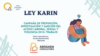 LEY KARIN COEDUCACIONAL [upl. by Kristopher]