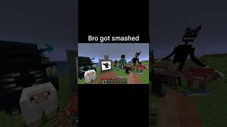 Minecraft Meme [upl. by Hsizan]