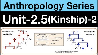 Unit25 Part 2  Filiation and Complementary Filiation  Anthropology  Task IAS [upl. by Ycal]