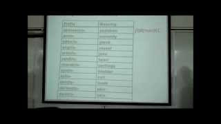 INTRO TO HUMAN ANATOMY PART 2 by Professor Fink [upl. by Namso]