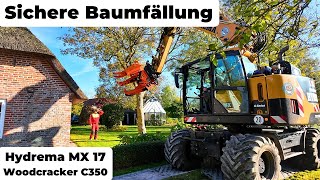 Baumfällen mit dem Hydrema MX17 Präzisionsarbeit am Haus 🪓🚜 [upl. by Mharba]