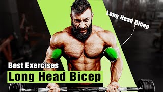 BEST LONG HEAD BICEP EXERCISES FOR MASSIVE ARMS [upl. by Bussey285]