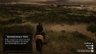 3 Nine Banded Armadillo location RDR2 [upl. by Cornelie973]