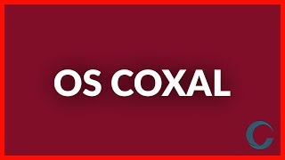 Os coxal [upl. by Iila]