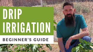 Installing Drip Irrigation in Vegetable Garden  A Beginners Guide to Drip Irrigation [upl. by Eenitsed]