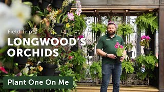 Longwood Gardens ORCHID CONSERVATORY Tour — Ep 309 [upl. by Lambart]