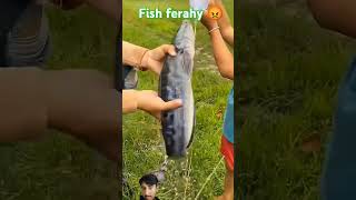 Survival skills fishing food seafood [upl. by Neetsirhc905]