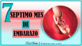 ❤️ SEPTIMO MES DE EMBARAZO🤰 ⏩ SEMANA 27 a 30 ⏩ TERCER TRIMESTRE ⏩ Desarrollo y Evolución del Bebe [upl. by Cowden482]