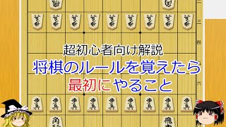 将棋のルールを覚えたら最初にやること【ゆっくり解説】 [upl. by Lundgren]