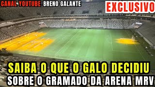 🛑SAIBA O QUE O GALO DECIDIU SOBRE O GRAMADO DA ARENA MRV [upl. by Leighton710]