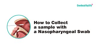 How to Correctly Collect a sample with a Nasopharyngeal Swab7 steps from Ownhealthylife [upl. by Esserac]