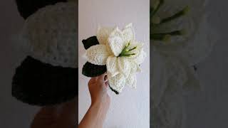 Crochet Poinsettia White [upl. by Zetram284]