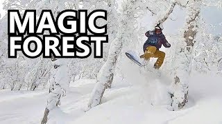 Magic Forest Snowboarding in Japan [upl. by Sacksen]