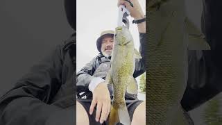 Fishing bass in Lake Magaguadavic w Ugly Stik GX2 and Piscifun Viper X 2000 shorts fishing bass [upl. by Hogg968]