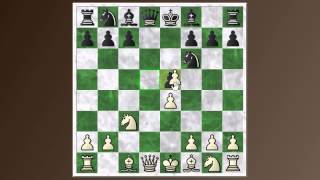 Chess Basics 44 QGD  Chigorin and Marshall defenses Albin countergambit [upl. by Natika]