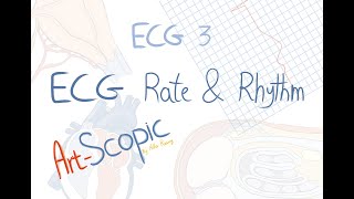 ECG 3 Rate and rhythm [upl. by Oinotnas]