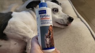 Reviewing EpiOtic Advanced Ear Cleanser for Dogs and Cats [upl. by Horick]