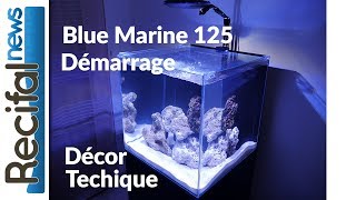 VLOG2 Sébastien  technique décor et ensemencement du Blue Marine 125 [upl. by Bethina432]