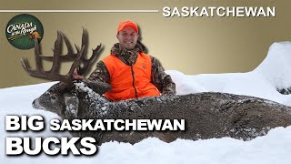 Late Season Deer Abundance in Saskatchewan  Canada in the Rough [upl. by Lais267]