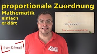 Proportionale Zuordnung  Mathematik  Lehrerschmidt  einfach erklärt [upl. by Feldman]