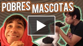 POBRES MASCOTAS  ◀︎▶︎WEREVERTUMORRO◀︎▶︎ [upl. by Dusa]