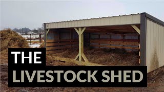 Livestock Shelter from Iowa Builder [upl. by Agnola203]