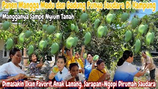 NEKAT‼️PERDANA PANEN MANGGA GADUNG amp MADU BUAHNYA LEBAT TH INI  PERTAMA X MBA UMI PULANG KAMPUNG [upl. by Layton778]