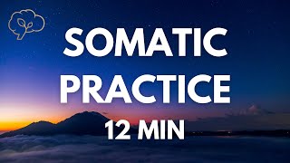 Somatic Exercises for Nervous System Regulation  12 Min Guided [upl. by Lemrej]