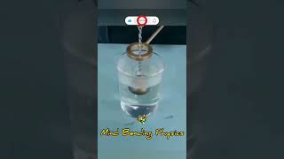 Thermal expansion and contraction 💖 experiment physics science fun amazing shorts viralvideo [upl. by Galliett]