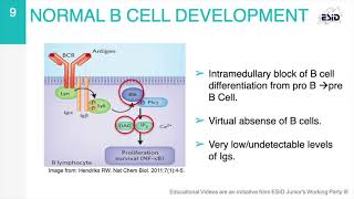 Xlinked Agammaglobulinemia XLA [upl. by Prisca]