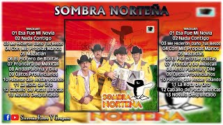 LA SOMBRA NORTEÑA  El Florero De Bolitas DISCO DE ESTUDIO 2001 [upl. by Aranaj]