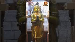 🔴Hanuman Jayanti 2024 l ஹனுமன் ஜெயந்தி விழா 2024  நாமக்கல் ஆஞ்சநேயர் மஹா அபிஷேக தரிசனம்  Hanuman [upl. by Ayortal]