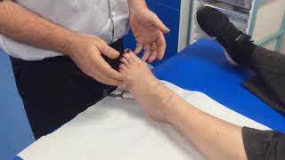 How to check for the dorsalis pedis amp anterior tibial pulse with a Doppler [upl. by Starinsky]