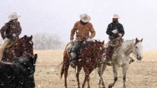 2016 Zoetis AQHA Best Remuda Award Winner Bartlett Ranch [upl. by Ayvid]