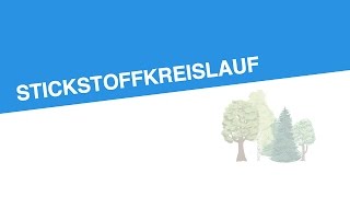 STICKSTOFFKREISLAUF  Biologie  Ökologie [upl. by Nitfa331]