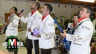 Los Liricos Jr  La guadalupana Serenata a la virgen de Guadalupe [upl. by Chuch890]