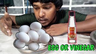 EGG VS VINEGAR MAI KON SURVIVE KAR PAYENGE [upl. by Yltneb]